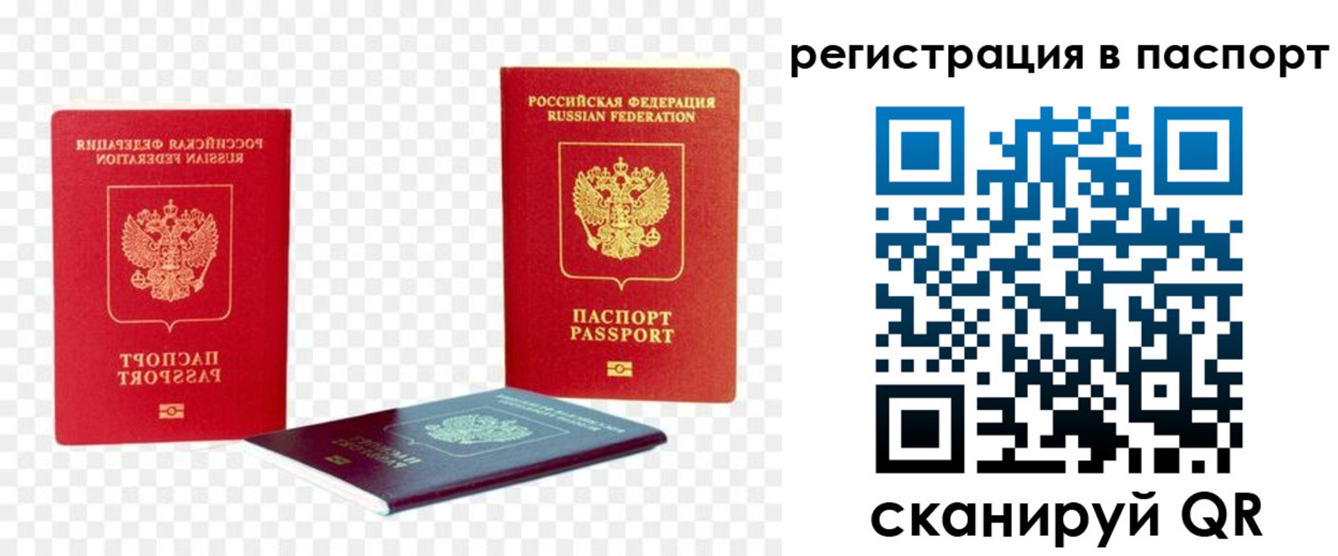 прописка от собственника в Вязьме